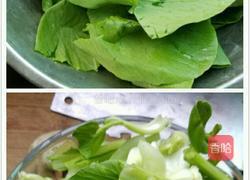 小油菜炖豆腐的做法图解2