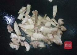 砂锅鱼头煲的做法图解10