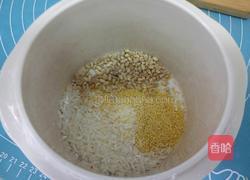 二米麦仁粥（BB煲）的做法图解1