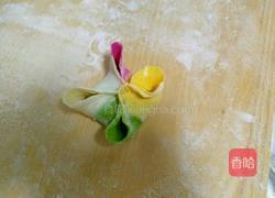 驴肉蒸饺的做法图解20