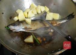 沙丁鱼炖土豆的做法图解8