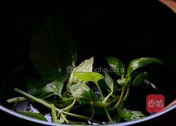 三杯鸡的做法图解9