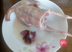 炖鸽子的做法图解1