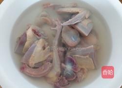 炖鸽子汤的做法图解5