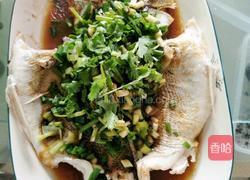 清蒸海鲈鱼的做法图解3