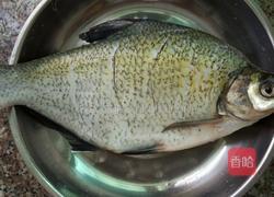 清炖武昌鱼的做法图解1