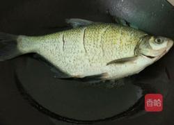 清炖武昌鱼的做法图解3