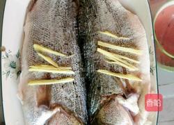 清蒸海鲈鱼的做法图解1
