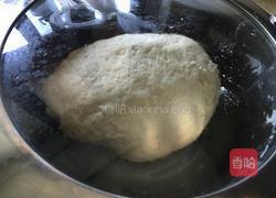 冬瓜馅饺子的做法图解1