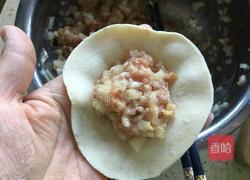 冬瓜猪肉饺子的做法图解6