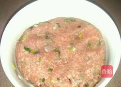 紫菜虾皮猪肉火腿云吞的做法图解1