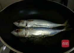 焖鲅鱼的做法图解3