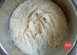 胡萝卜大包子的做法图解16