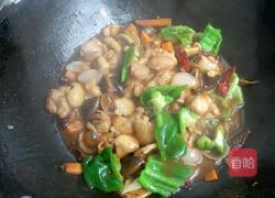 香辣鸡煲的做法图解14