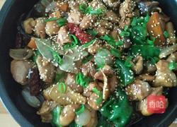 香辣鸡煲的做法图解16