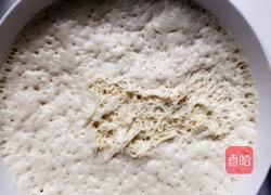 黑芝麻小花卷的做法图解2