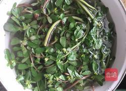 马齿苋绿豆薏仁汤的做法图解2