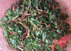 马齿苋绿豆薏仁汤的做法图解3