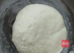 刺猬包子的做法图解4