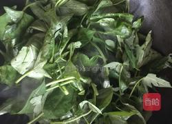 蒜泥红薯苗的做法图解5