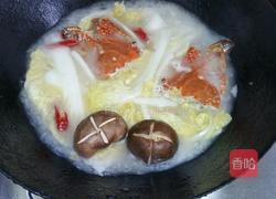 螃蟹白菜粉絲煲的做法圖解5