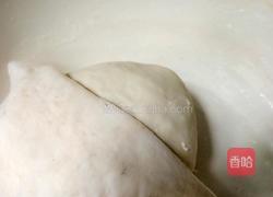 什锦肉馅饺的做法图解5