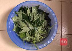 炒地瓜叶的做法图解2