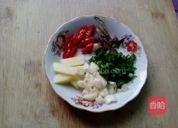 土豆鸭的做法图解3