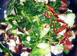 香菇菠菜的做法图解6