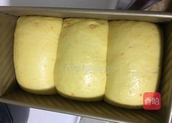 南瓜吐司（一次发酵法）的做法图解9