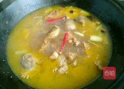 香辣土豆烧鸡块的做法图解7