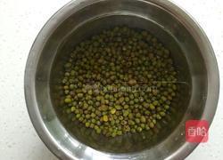 生绿豆芽的做法图解1