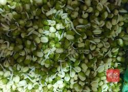 生绿豆芽的做法图解4