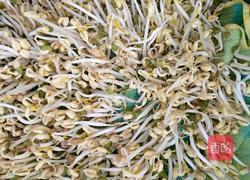 生绿豆芽的做法图解7