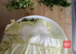 醋溜大白菜的做法图解1