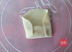 素春卷的做法图解6