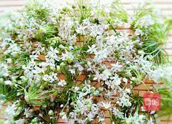 韭菜花酱的做法图解2