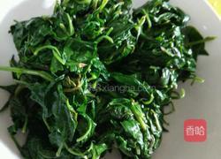 凉拌枸杞叶的做法图解8