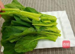 耗油菜心的做法图解2
