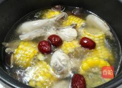 玉米炖鸡的做法图解5