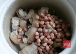 花生猪蹄的做法图解5