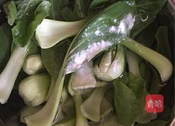 油菜炒虾皮的做法图解2