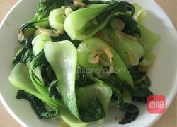 油菜炒虾皮的做法图解9
