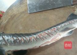 清蒸鲟鱼的做法图解2