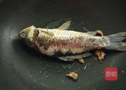 鲫鱼木瓜汤的做法图解4