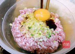 狮子头的做法图解4