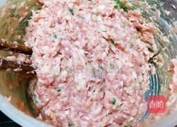 狮子头的做法图解6