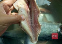 家炖青鱼的做法图解3