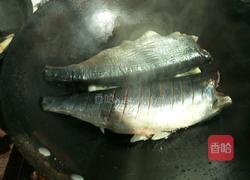 家炖青鱼的做法图解8