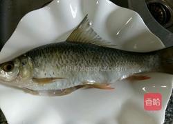 清蒸翘嘴鱼的做法图解1
